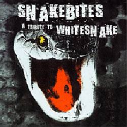 Whitesnake : Snakebites : Tribute to Whitesnake